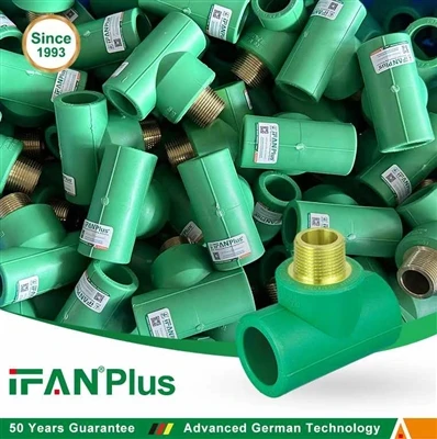 IFANPLUS PPR পুরুষ টি